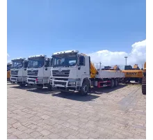 Macara mobilă hidraulică Shacman de 12 tone pe camion