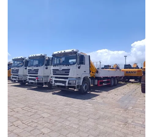Macara mobilă hidraulică Shacman de 12 tone pe camion