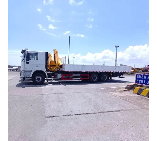 Macara mobilă hidraulică Shacman de 12 tone pe camion