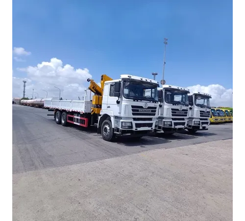 Macara mobilă hidraulică Shacman de 12 tone pe camion