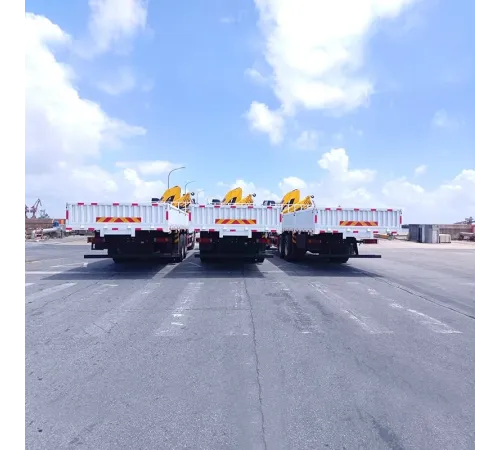 Macara mobilă hidraulică Shacman de 12 tone pe camion
