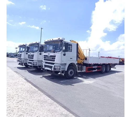 Macara mobilă hidraulică Shacman de 12 tone pe camion